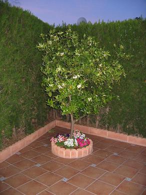 IMG_3627_P.JPG