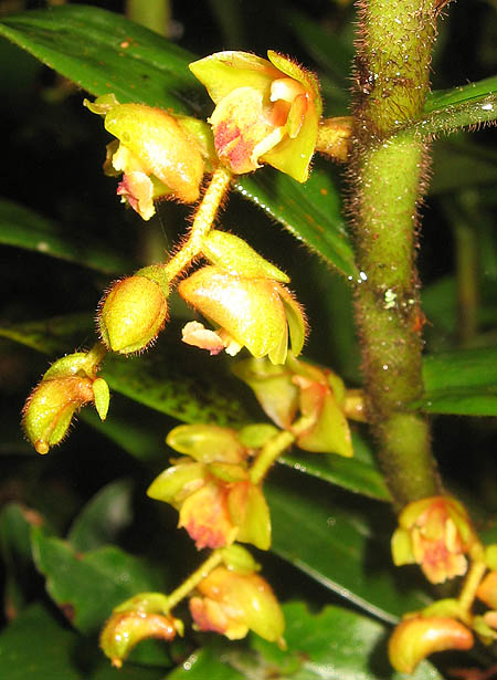 img_3733.jpg