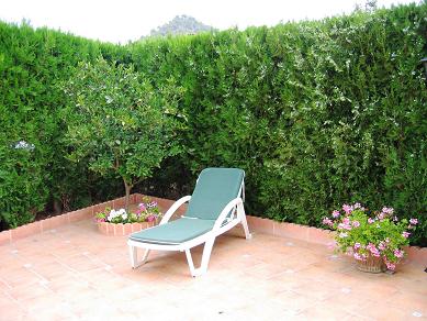 IMG_3742_P.jpg