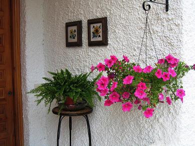IMG_3750_P.jpg