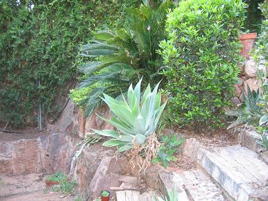 IMG_3768_P.JPG