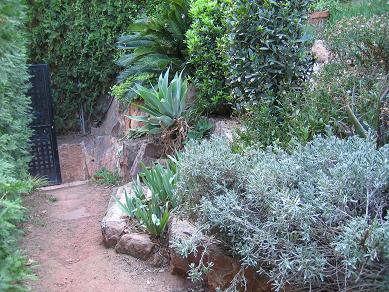 IMG_3792_P%7E0.JPG