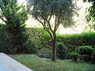 IMG_3858_P.JPG