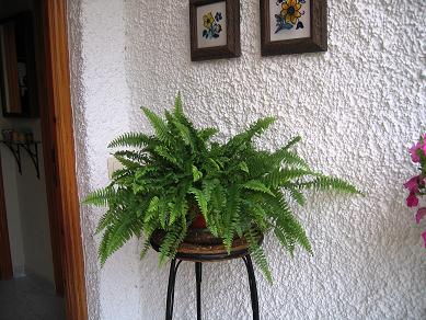 IMG_3867_P.JPG