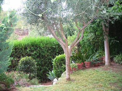 IMG_3869_P.JPG