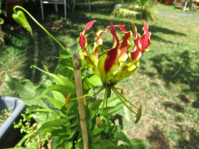 IMG_3953.JPG