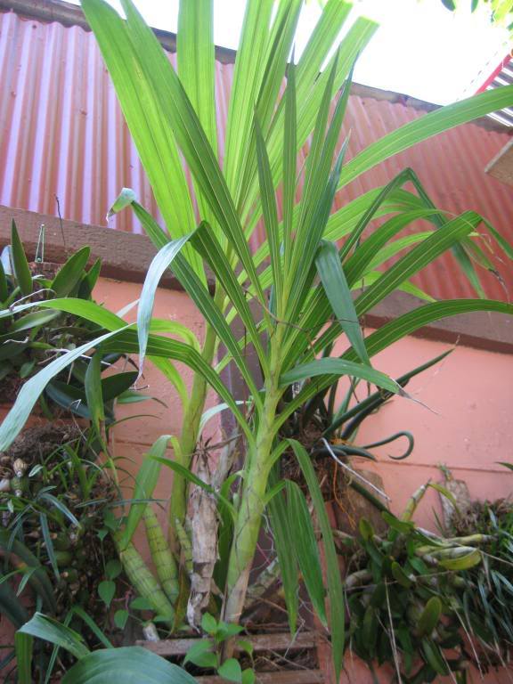 IMG_4097.jpg