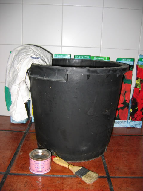 IMG_4455.jpg