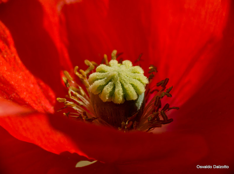 IMG_4612l.jpg