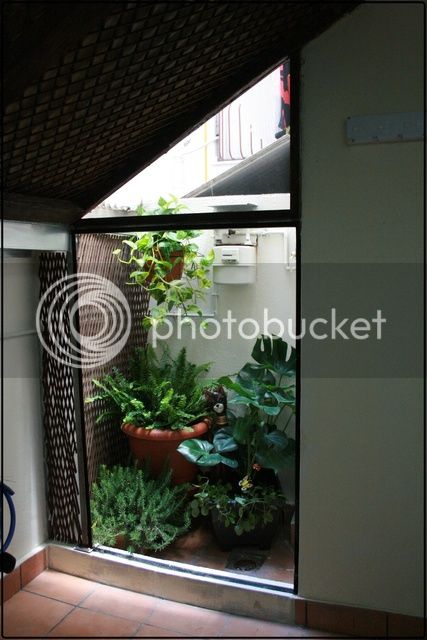 IMG_4668_zpsrx73td7a.jpg