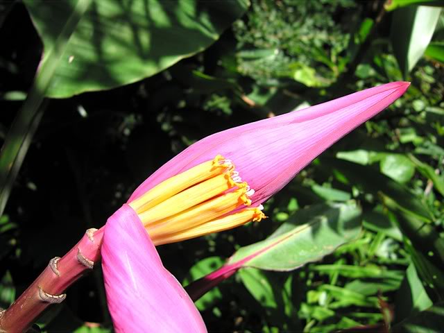 IMG_4818.jpg