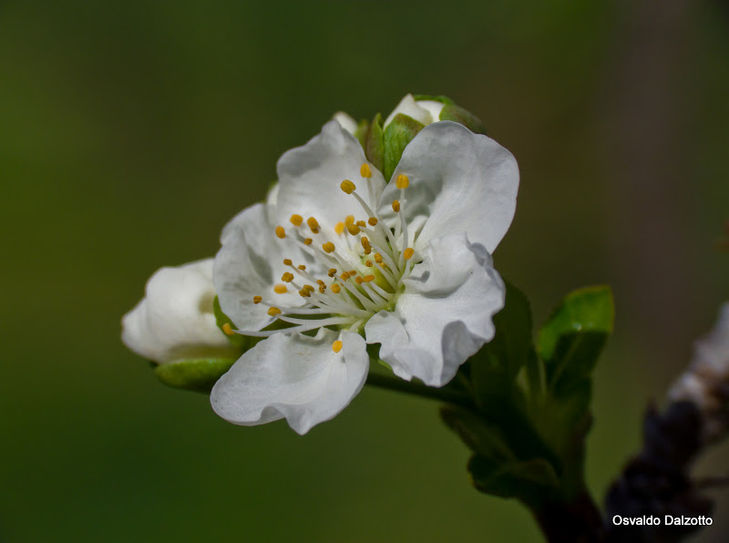 IMG_4848l.jpg
