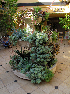 IMG_5165.jpg
