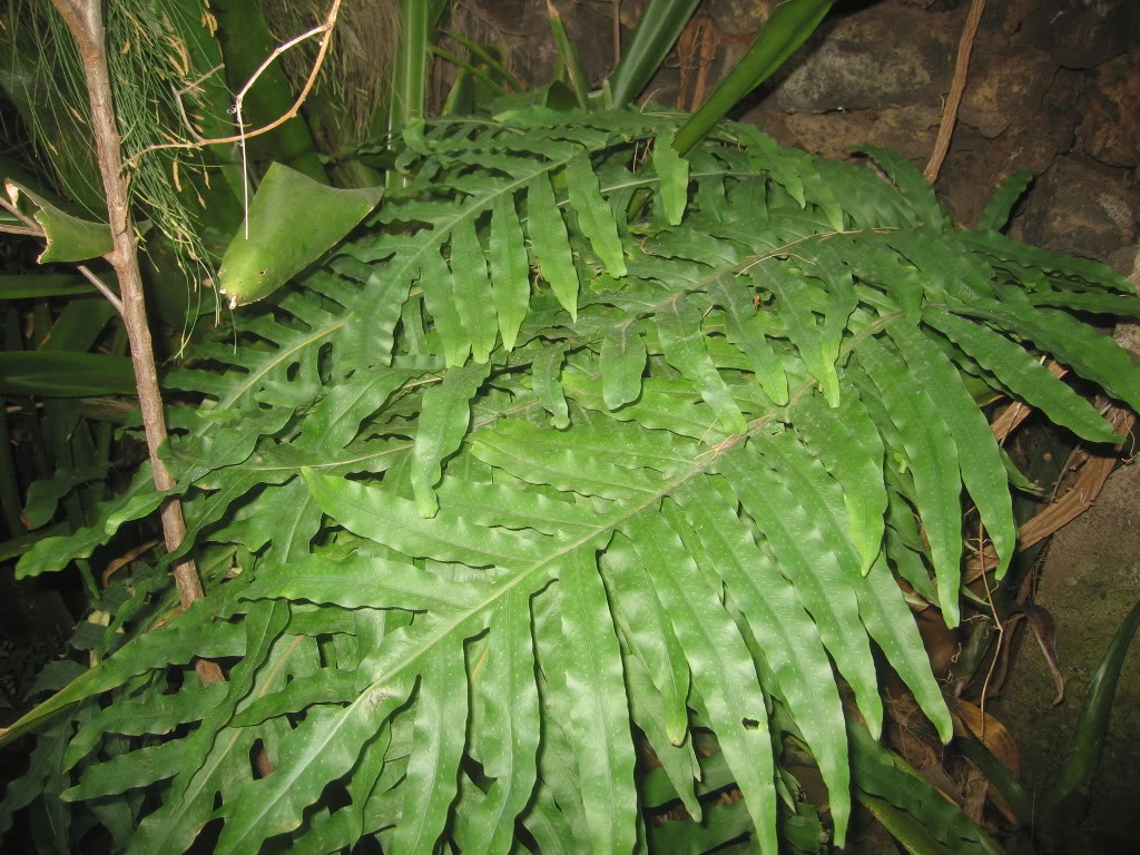 IMG_5341.jpg