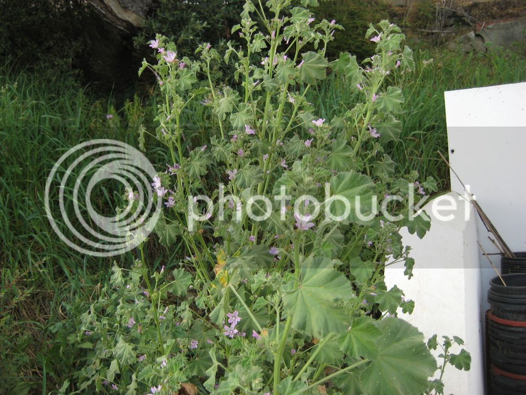 IMG_5893.jpg