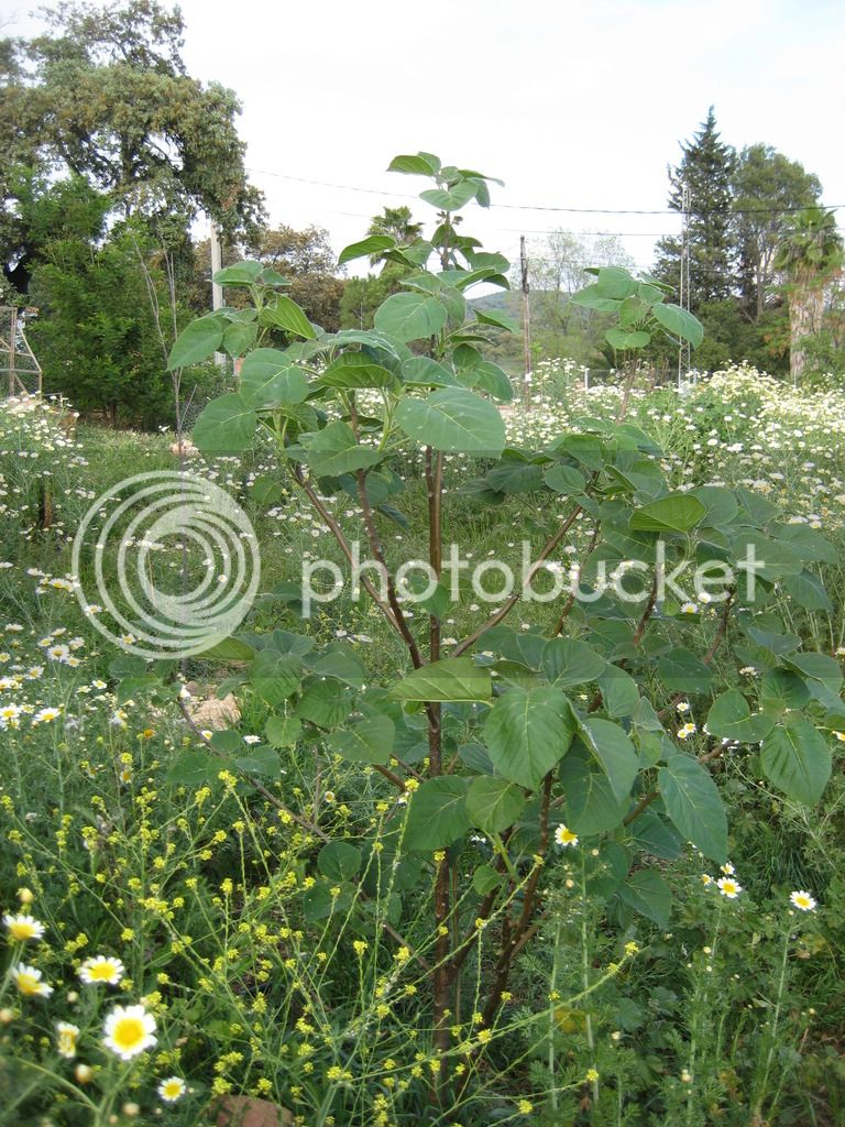 IMG_5900.jpg