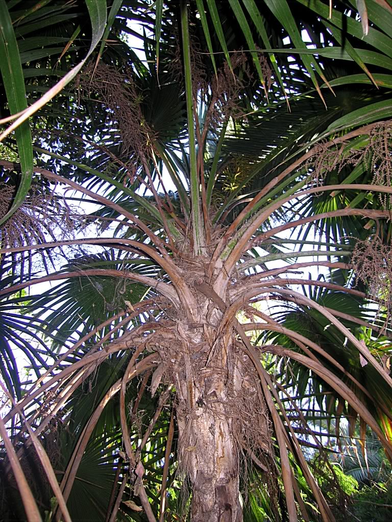 IMG_5953.jpg