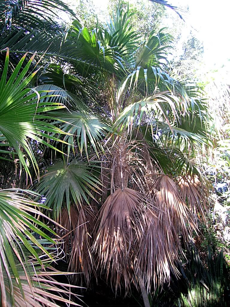 IMG_5961.jpg
