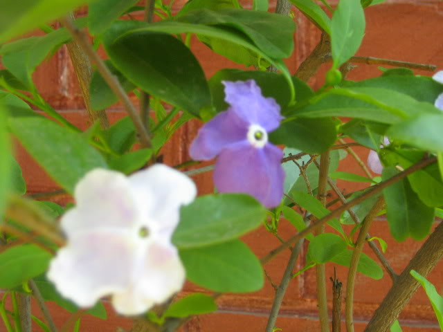 IMG_6110-1.jpg