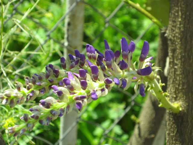 IMG_6113-1.jpg