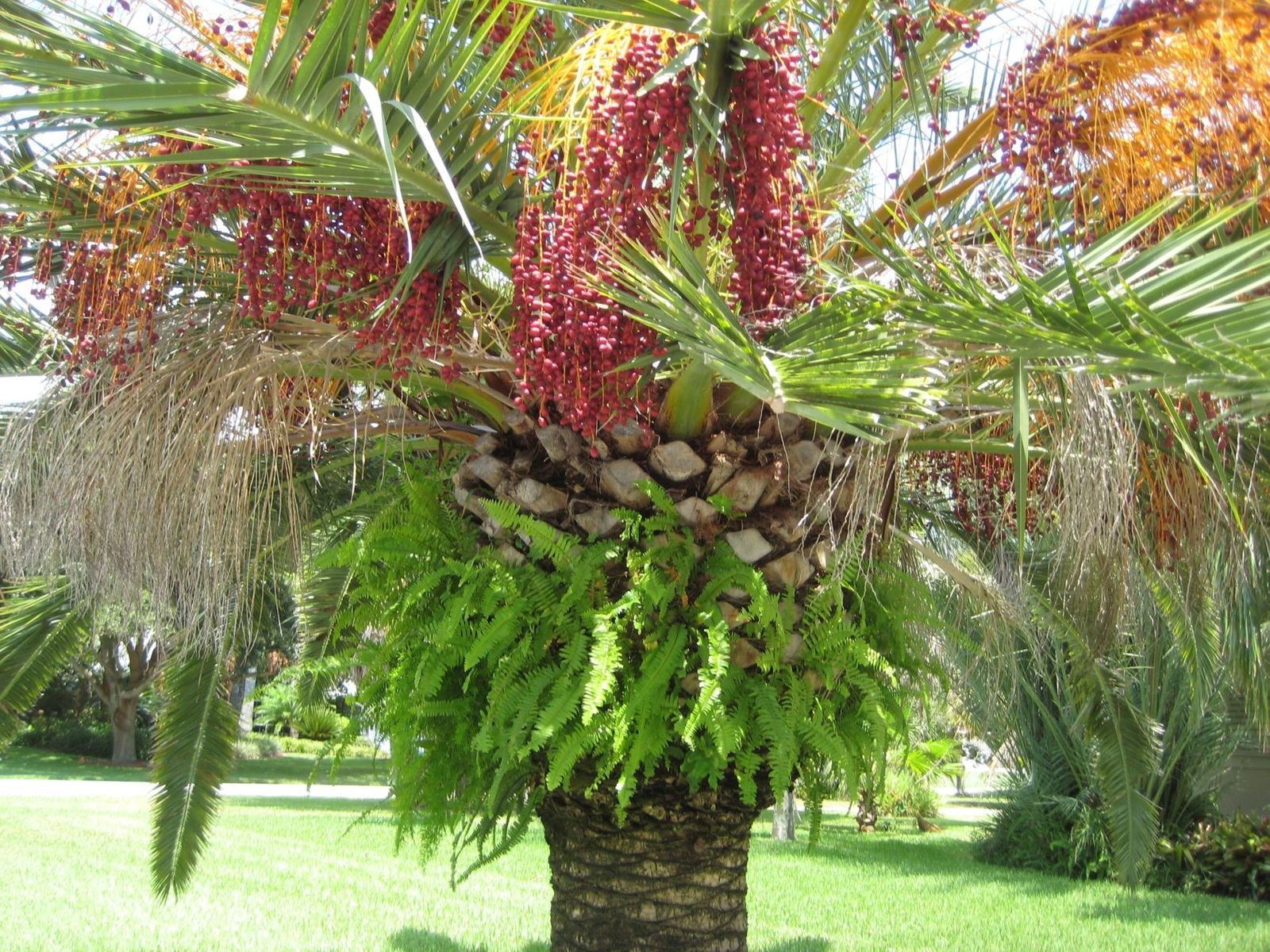 IMG_6326.jpg