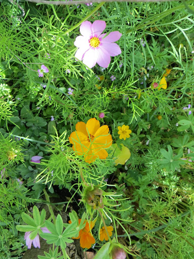 IMG_6601.jpg