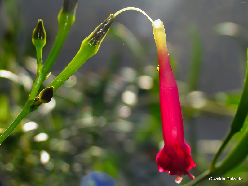 IMG_6644_L.jpg