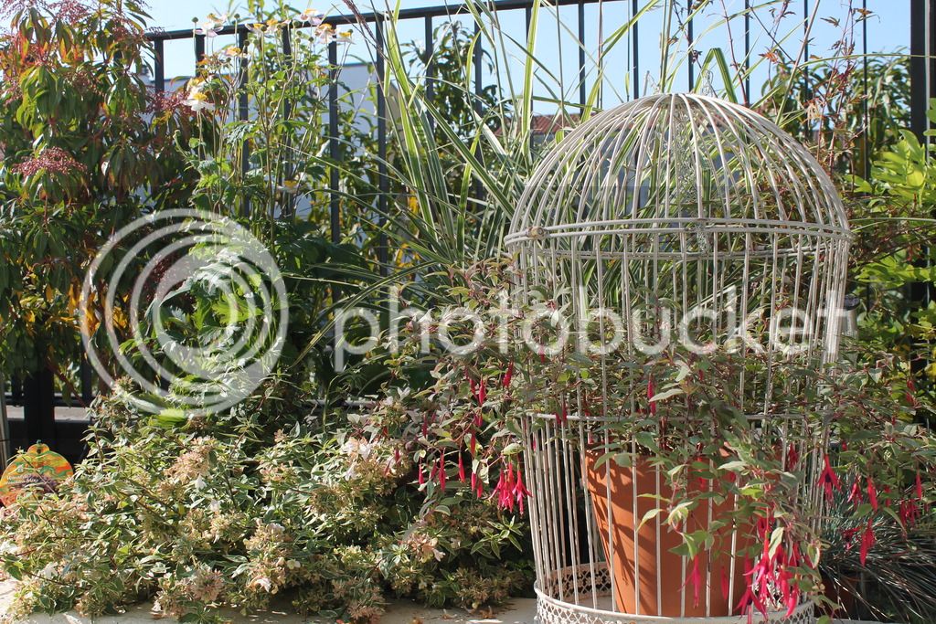 IMG_6884_zpsu8dlt5gl.jpg