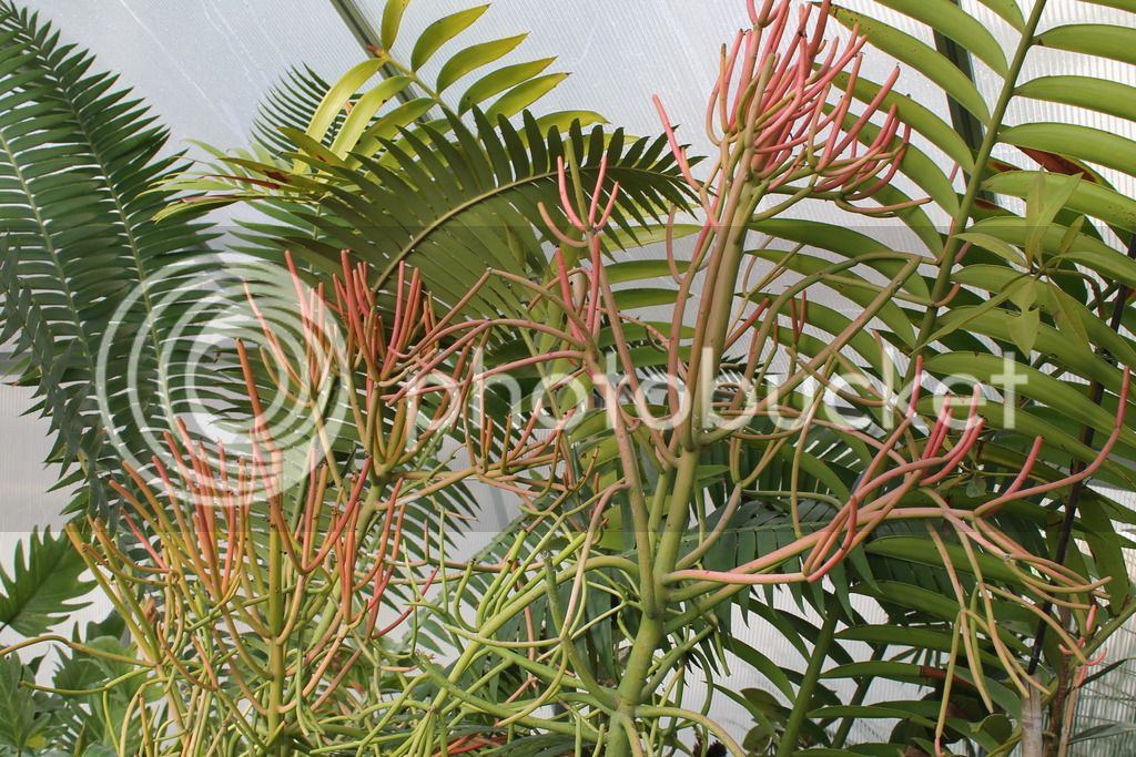 IMG_6944_zpsf7mioc2g.jpg
