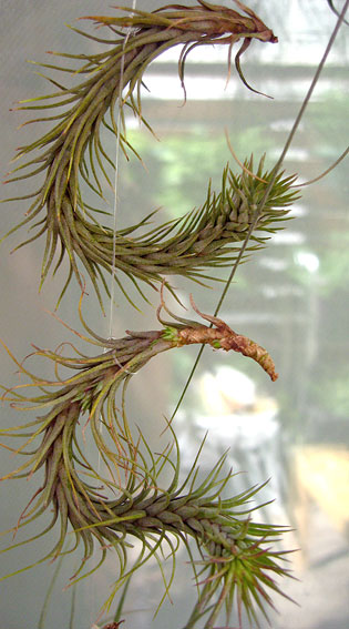 IMG_7210.jpg