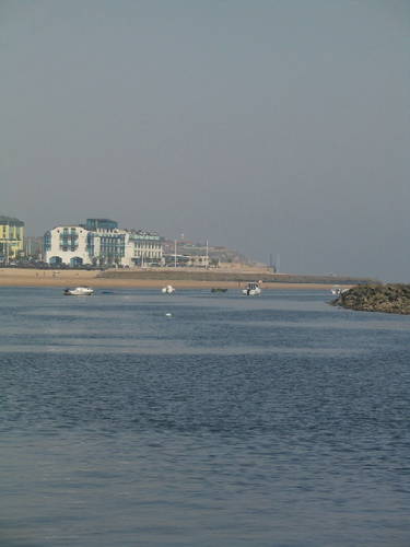 IMG_7338.jpg