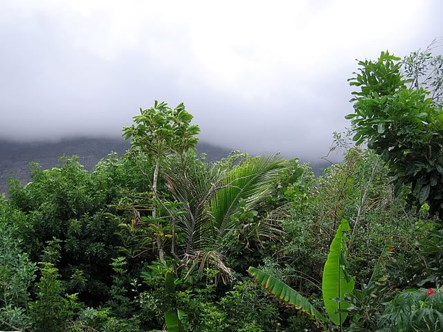 IMG_7474.jpg