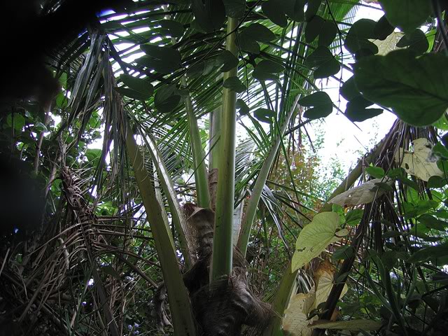 IMG_7535.jpg