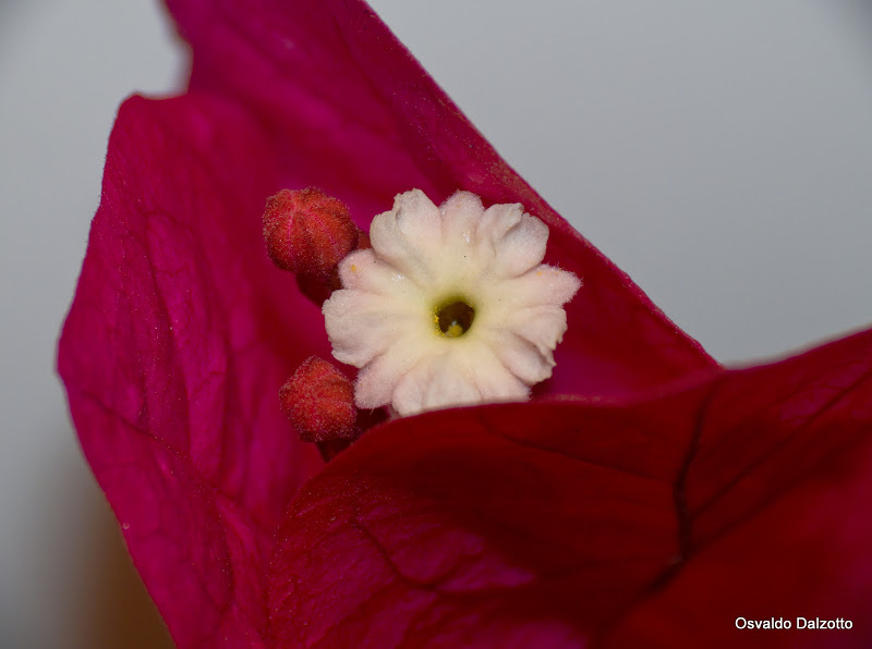 IMG_7824_l.jpg