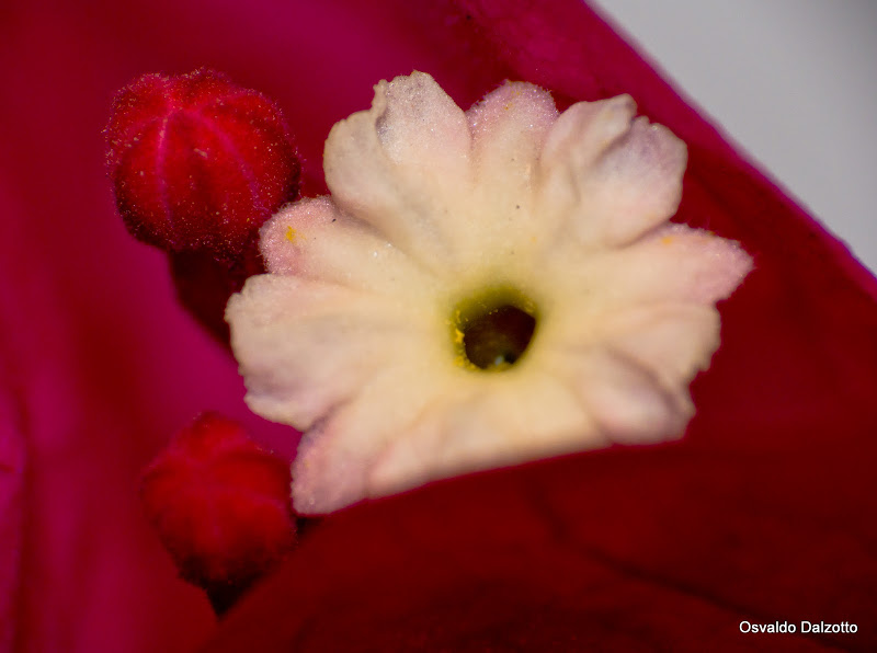 IMG_7825_l.jpg