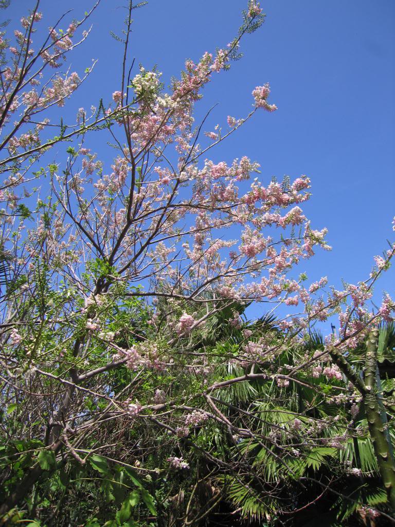 IMG_8001.jpg