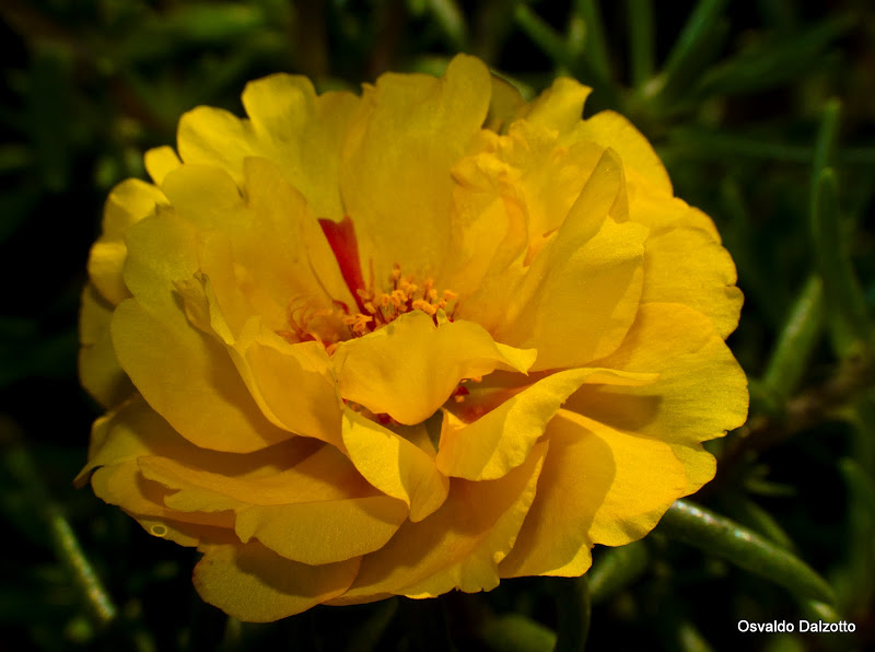 IMG_8048_l.jpg