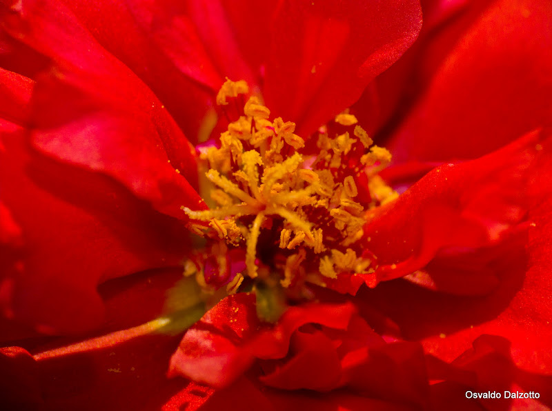 IMG_8052_l.jpg