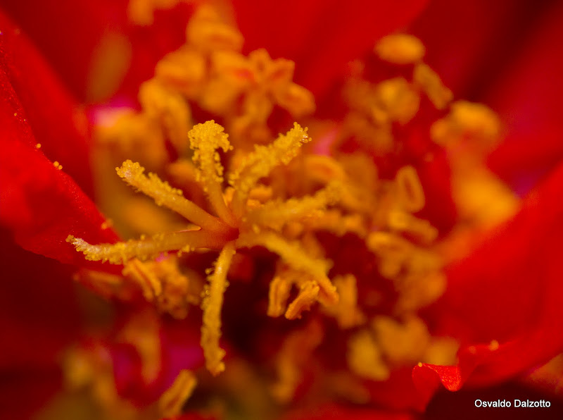 IMG_8053_l.jpg