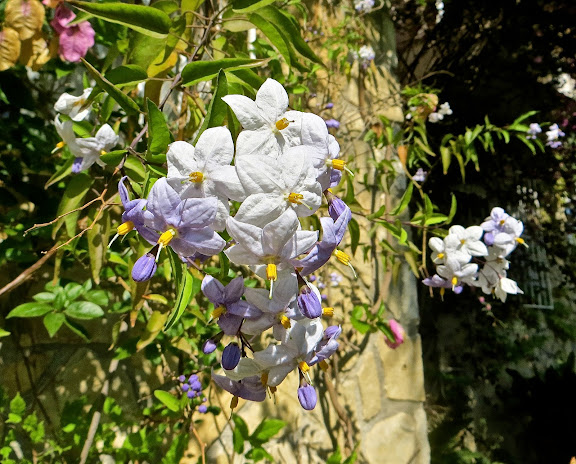IMG_8058.JPG