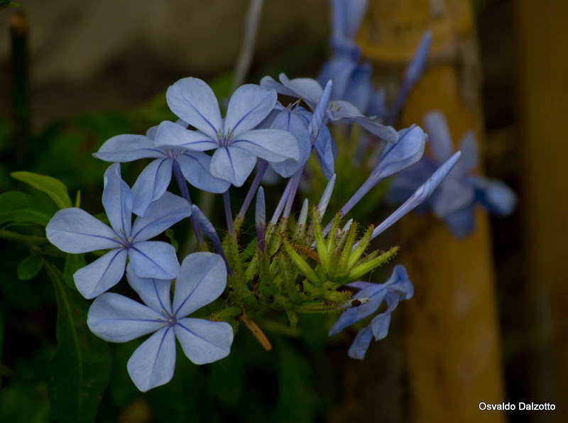IMG_8085_l.jpg