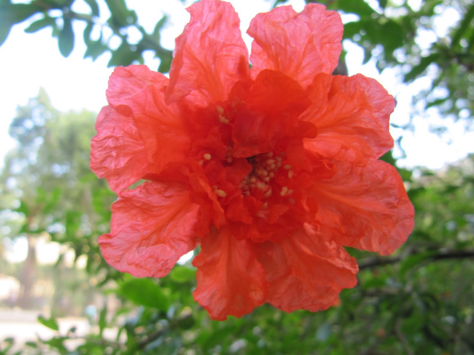 IMG_8399.jpg