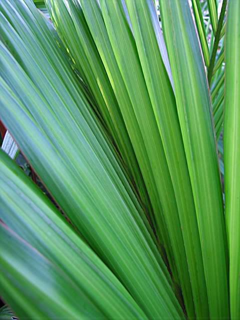IMG_8412.jpg