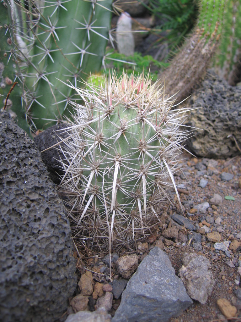 IMG_8413.jpg