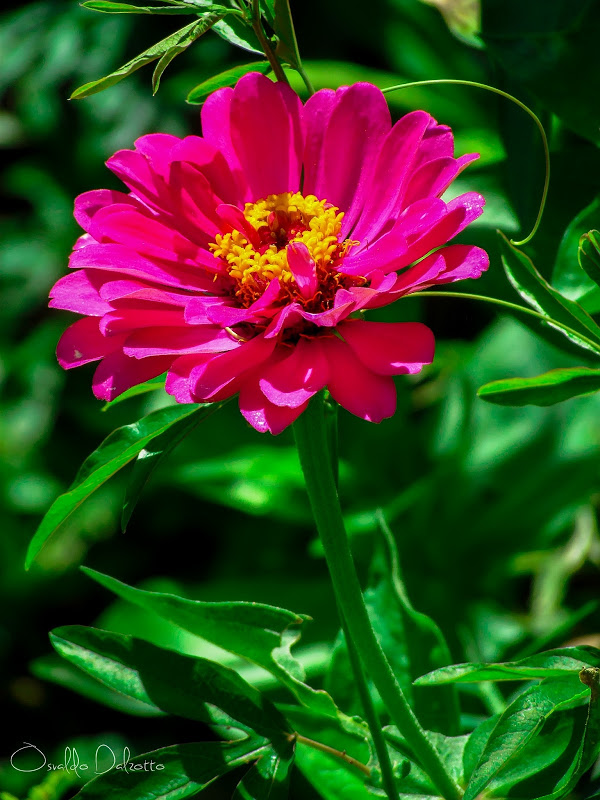 IMG_8436_L_O.JPG