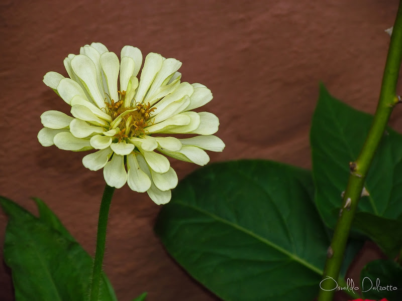 IMG_8480_F.JPG