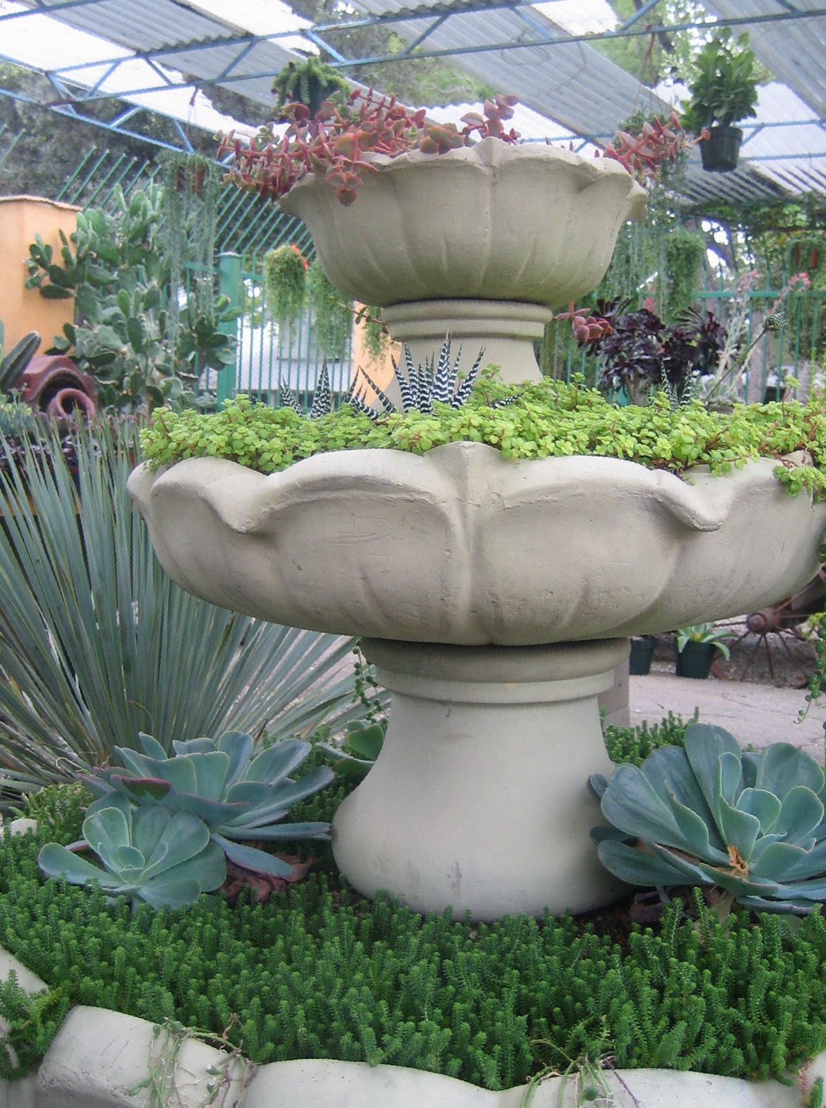 IMG_872Dry+fountain.JPG