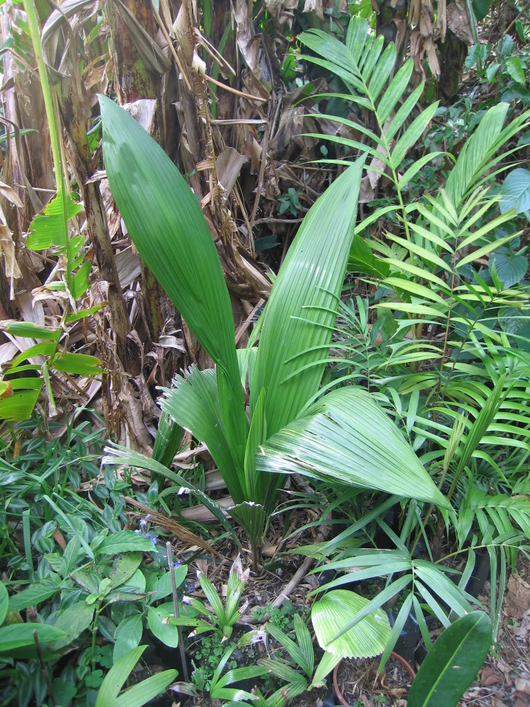 IMG_9233.jpg