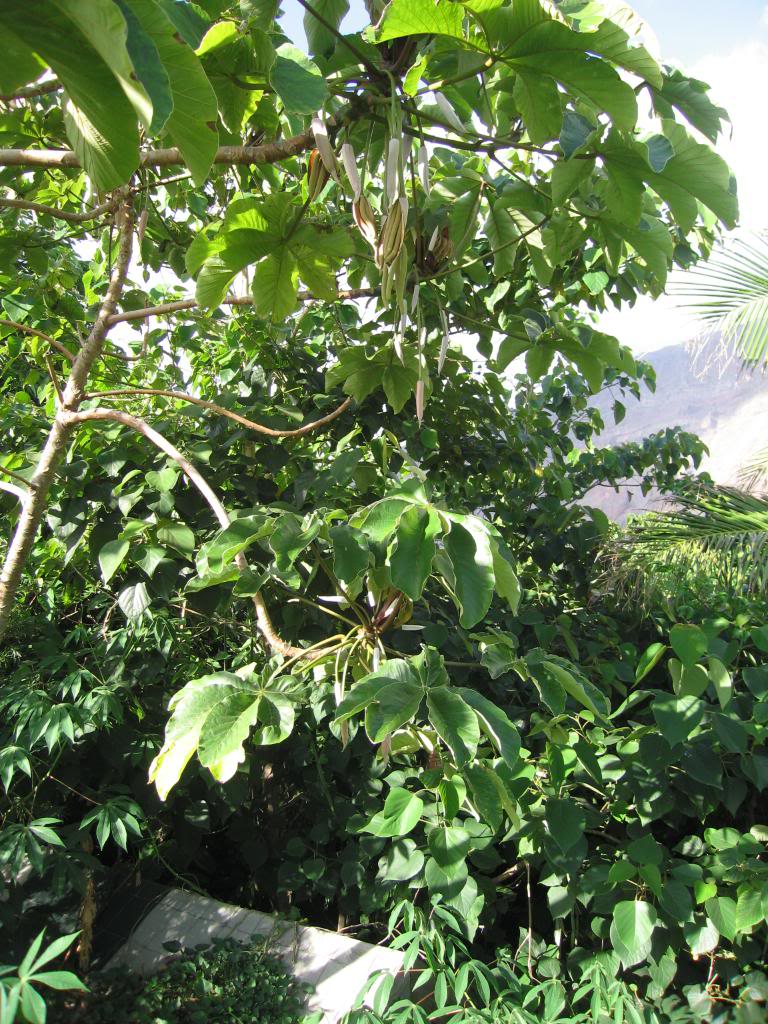 IMG_9611.jpg