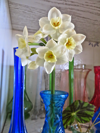 IMG_9687.jpg